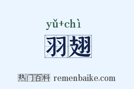 羽翅是什么意思的图片